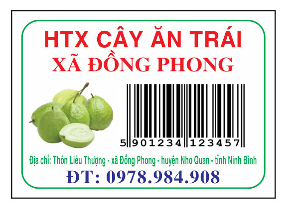 HTX cây ăn trái xã Đồng Phong